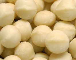 macadamia_kernels macadamia_kernels